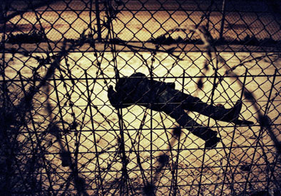 inmigrante fricano herido en tierra de nadie entre Marruecos y Espaa.